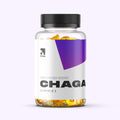 CHAGA | Gummies — Immunity. Balance. Recovery. 💪